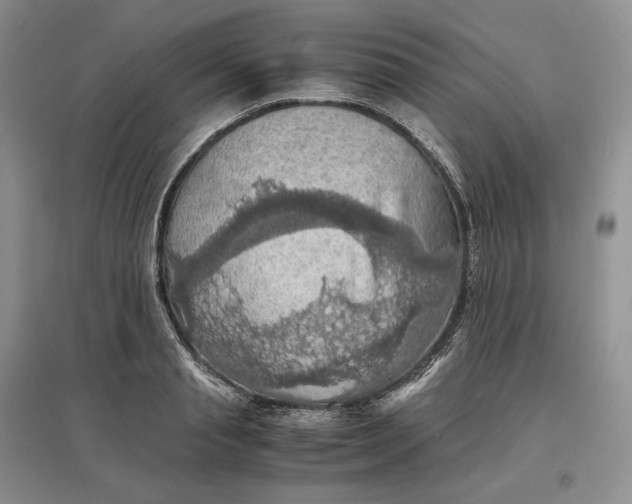 X0000097600845200803141915