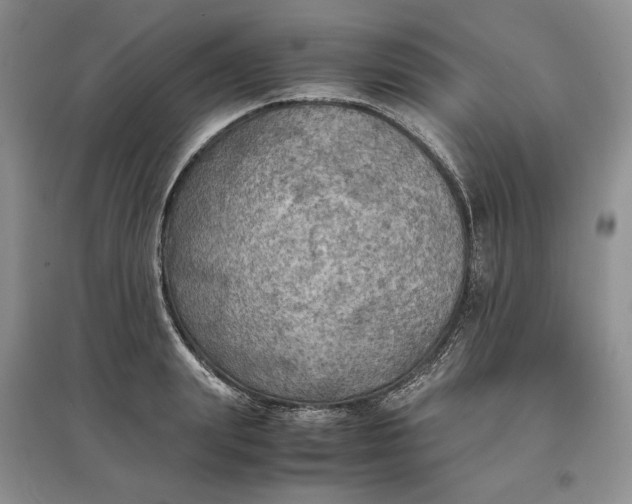 X0000097600847200803141915