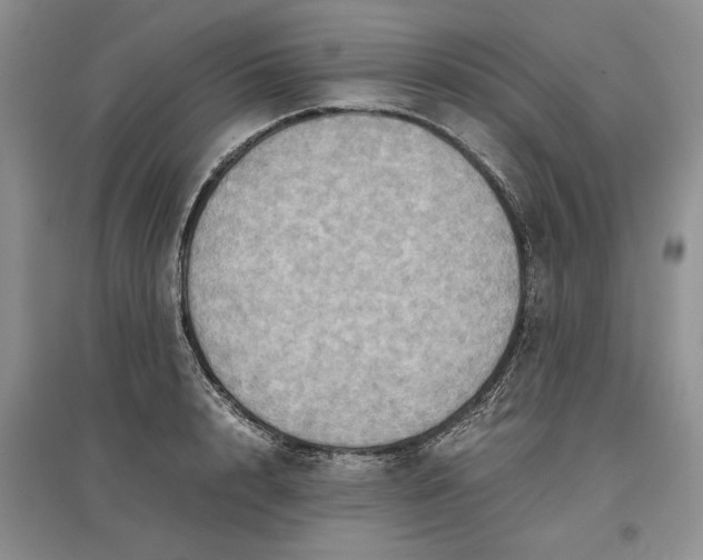 X0000097600848200803141915