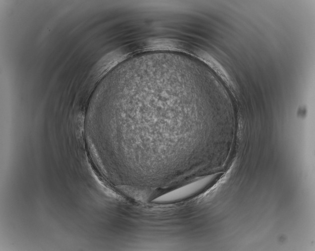 X0000097600849200803141915
