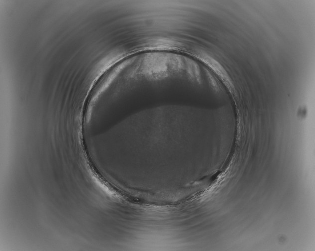 X0000097600850200803141915
