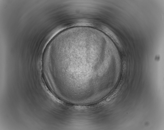 X0000097600852200803141915