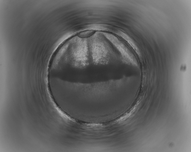 X0000097600853200803141915