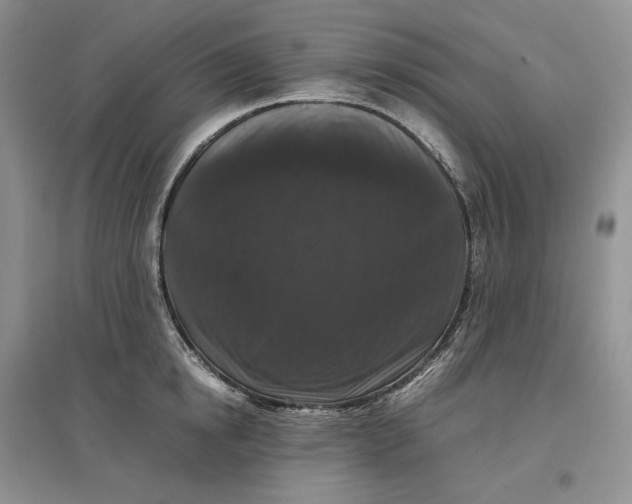 X0000097600854200803141915