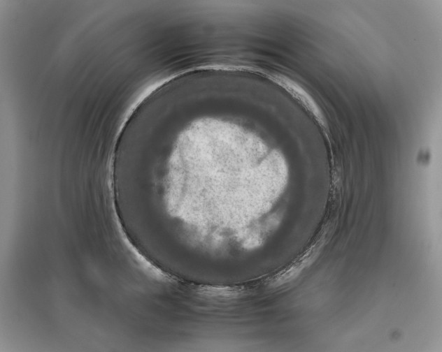 X0000097600855200803141915