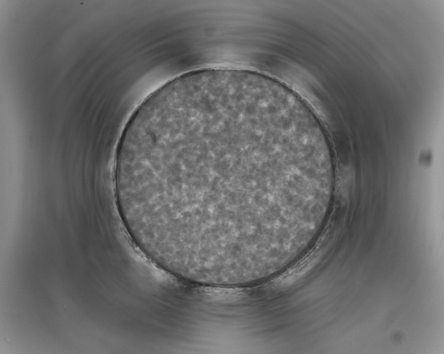 X0000097600856200803141915