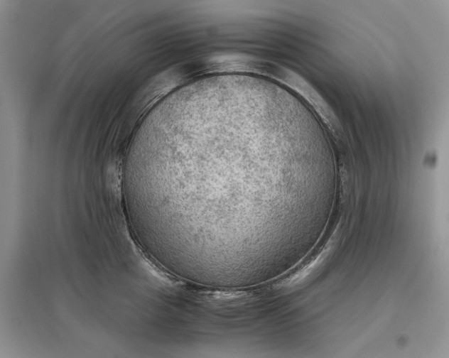 X0000097600857200803141915