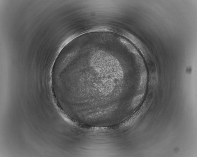 X0000097600858200803141915