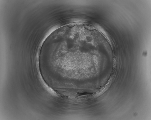 X0000097600859200803141915