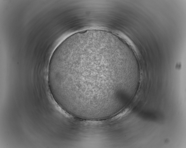 X0000097600860200803141915