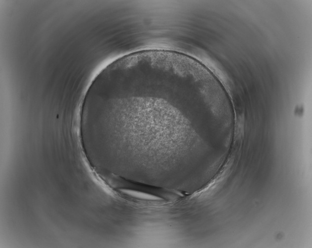 X0000097600862200803141915