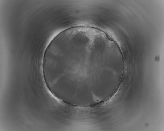 X0000097600863200803141915
