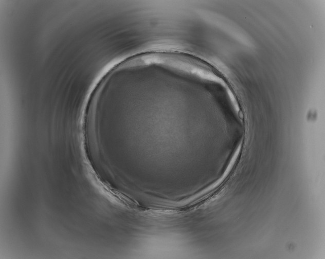 X0000097600864200803141915