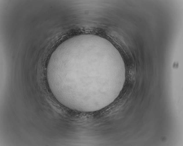 X0000097600865200803141914