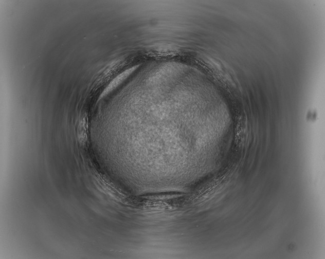 X0000097600866200803141914
