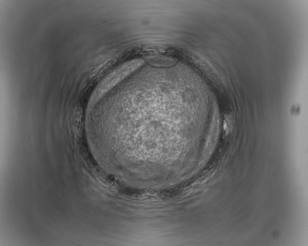 X0000097600867200803141914
