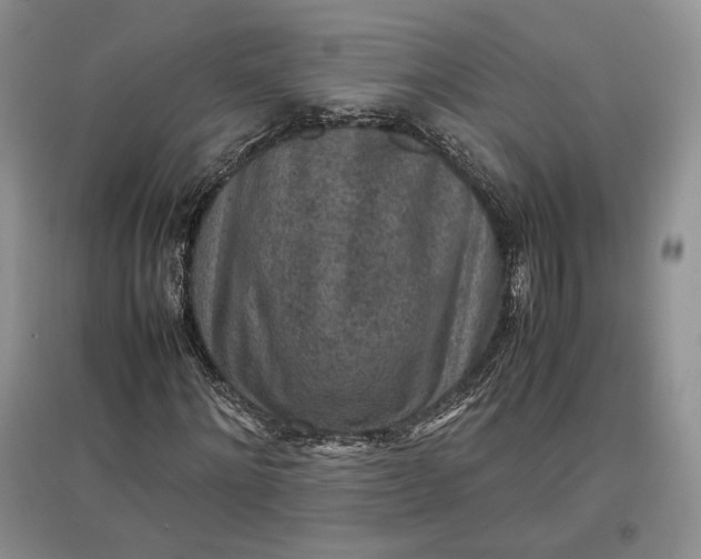 X0000097600868200803141914