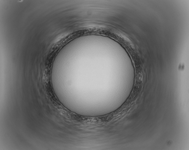 X0000097600869200803141914