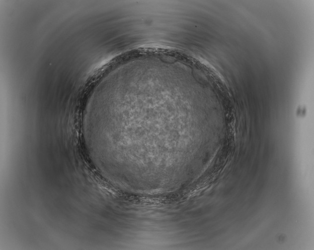 X0000097600870200803141914