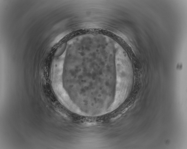 X0000097600871200803141914