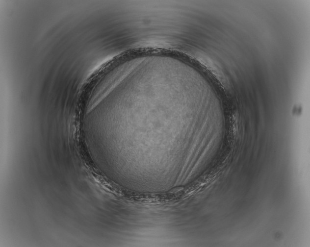 X0000097600872200803141914