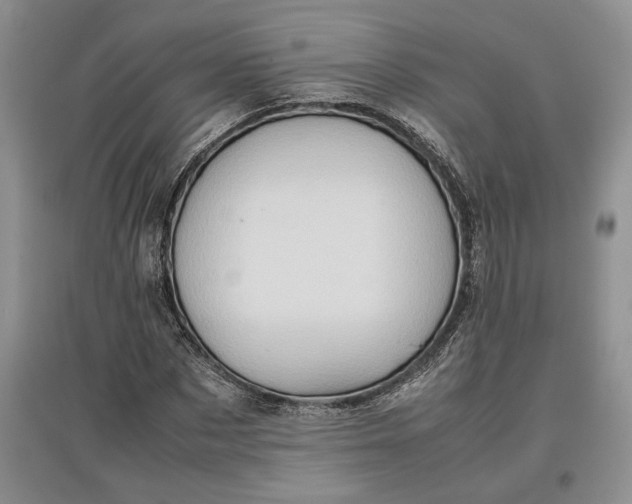 X0000097600873200803141914