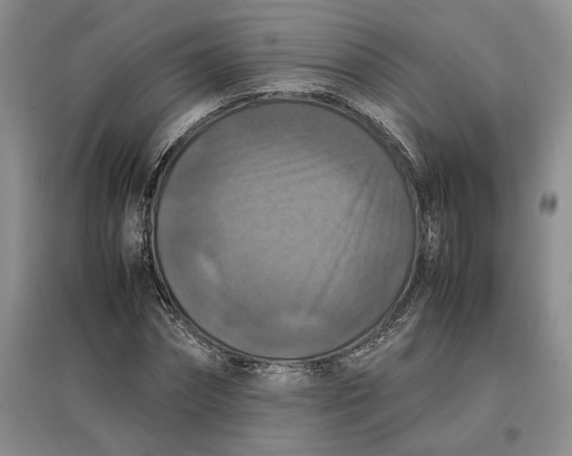 X0000097600874200803141914