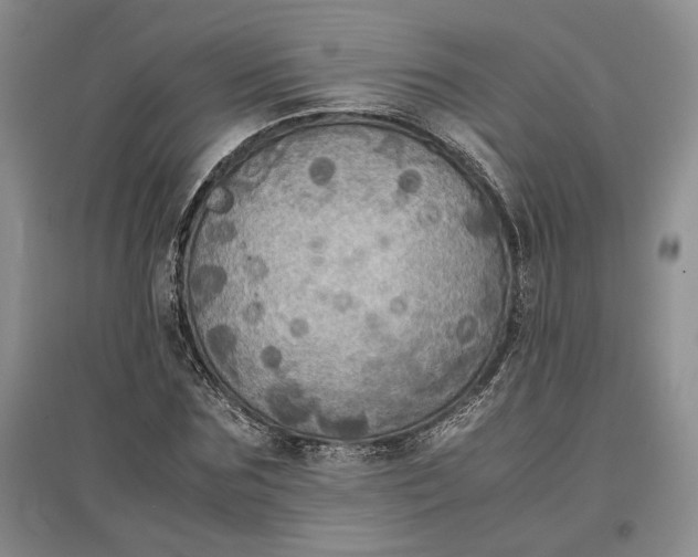 X0000097600875200803141914