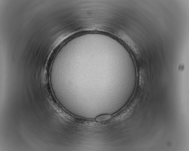 X0000097600876200803141914