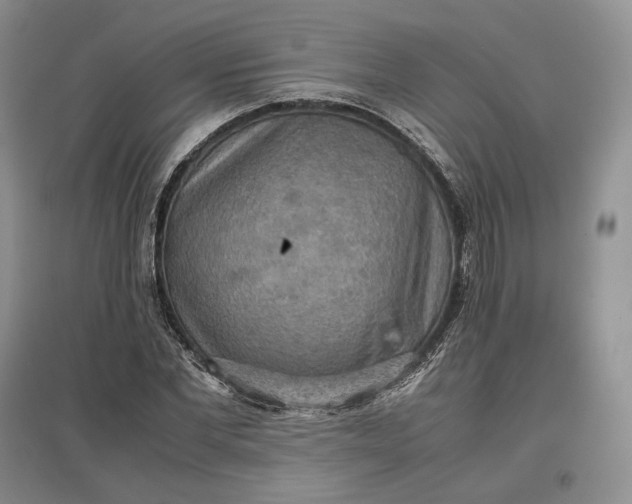X0000097600877200803141914