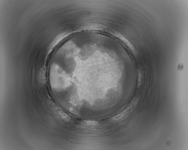 X0000097600878200803141914
