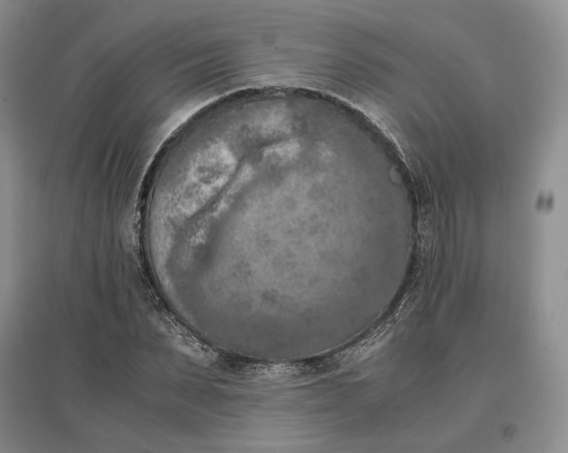 X0000097600879200803141914