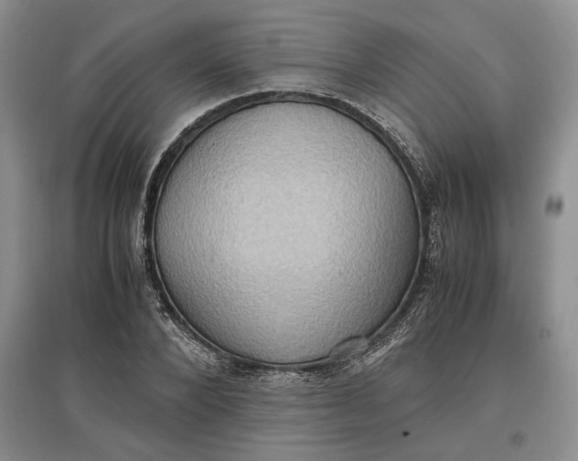 X0000097600880200803141914