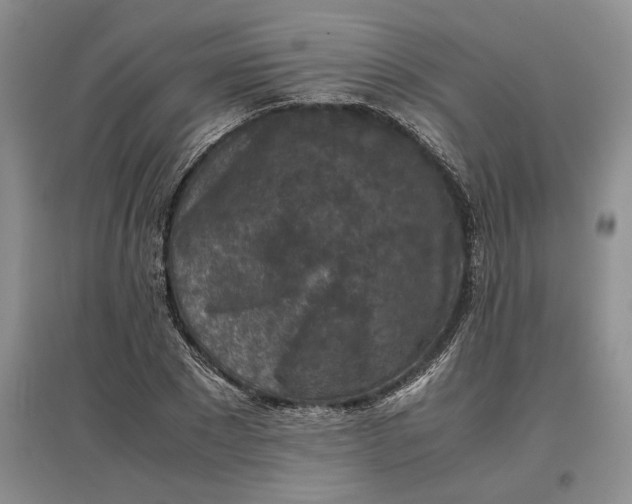 X0000097600881200803141914