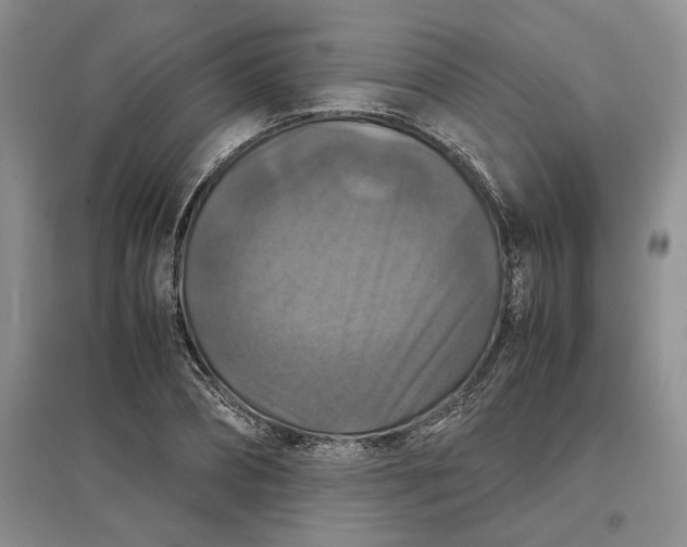 X0000097600882200803141914