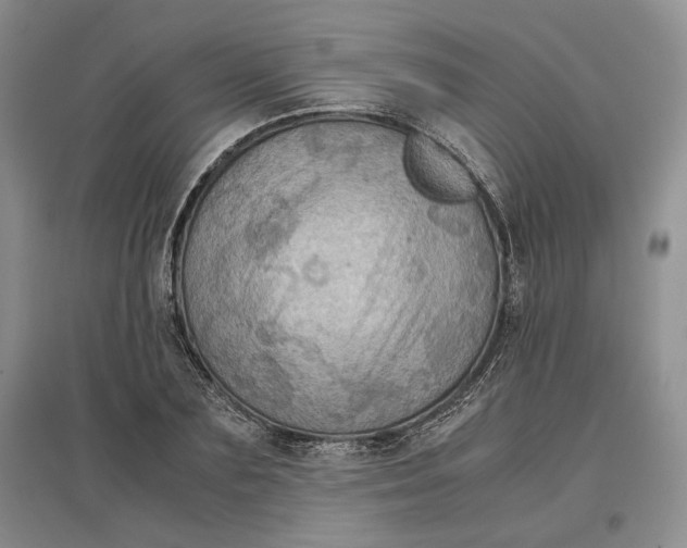 X0000097600883200803141914