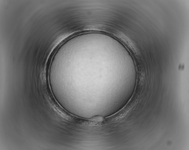 X0000097600884200803141914