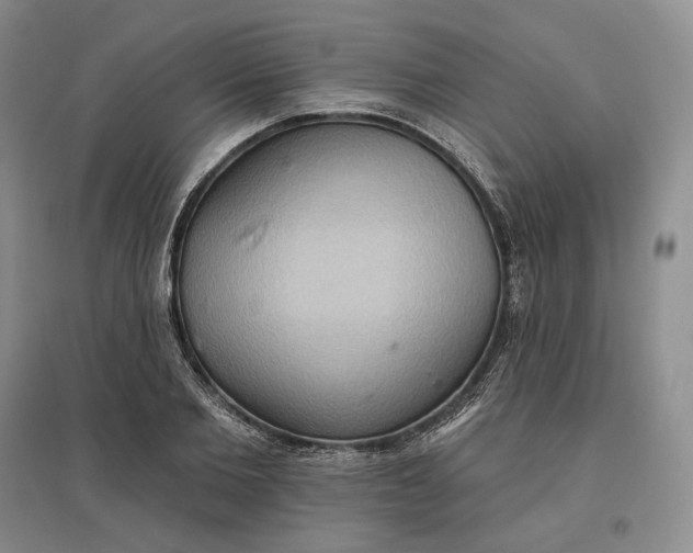 X0000097600885200803141914