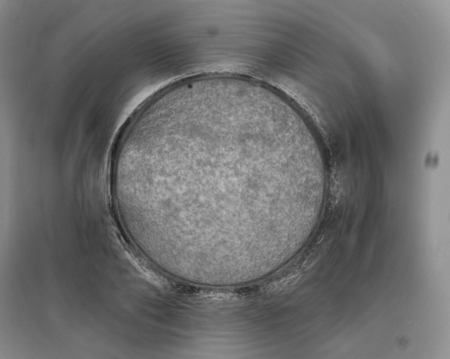 X0000097600886200803141914