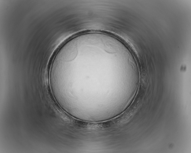 X0000097600887200803141914