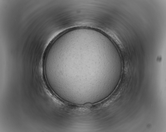 X0000097600888200803141914