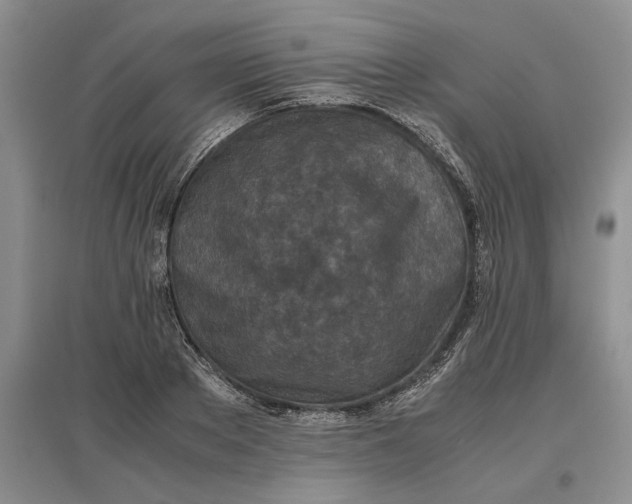 X0000097600889200803141914