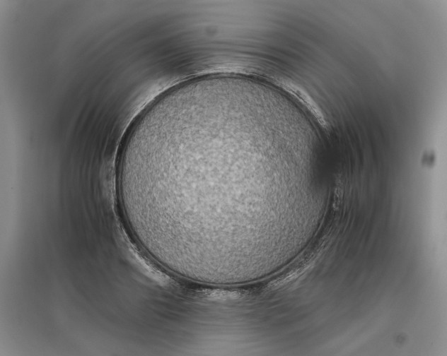 X0000097600890200803141914