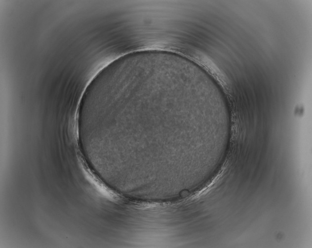 X0000097600892200803141914