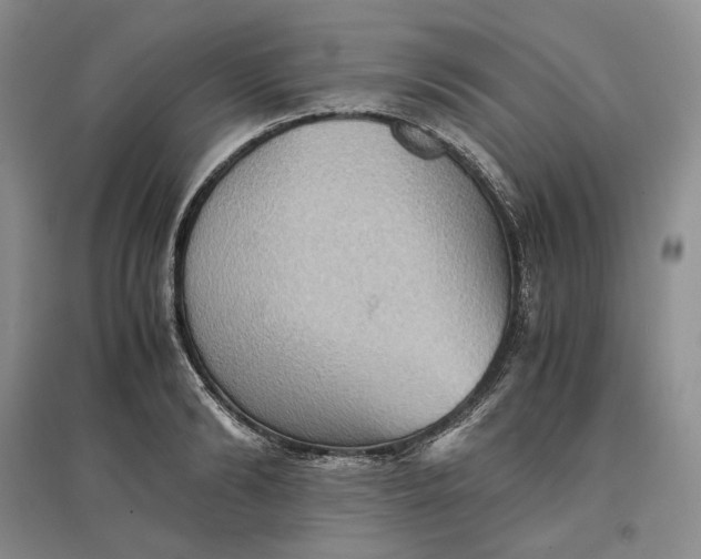X0000097600894200803141914