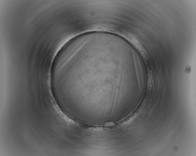 X0000097600896200803141914