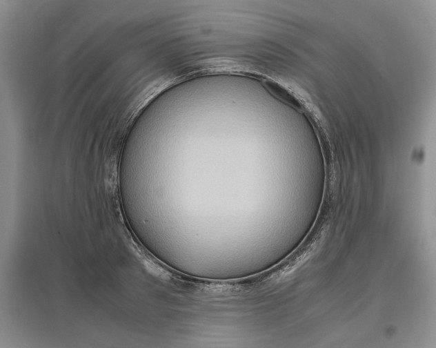 X0000097600897200803141914