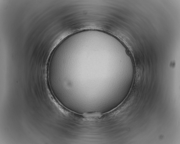 X0000097600898200803141914