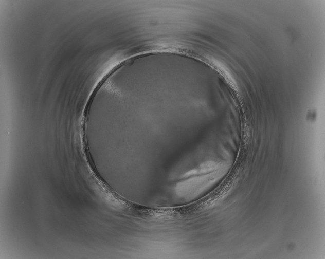 X0000097600899200803141914