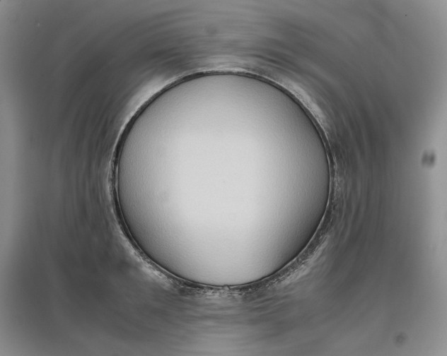 X0000097600901200803141914